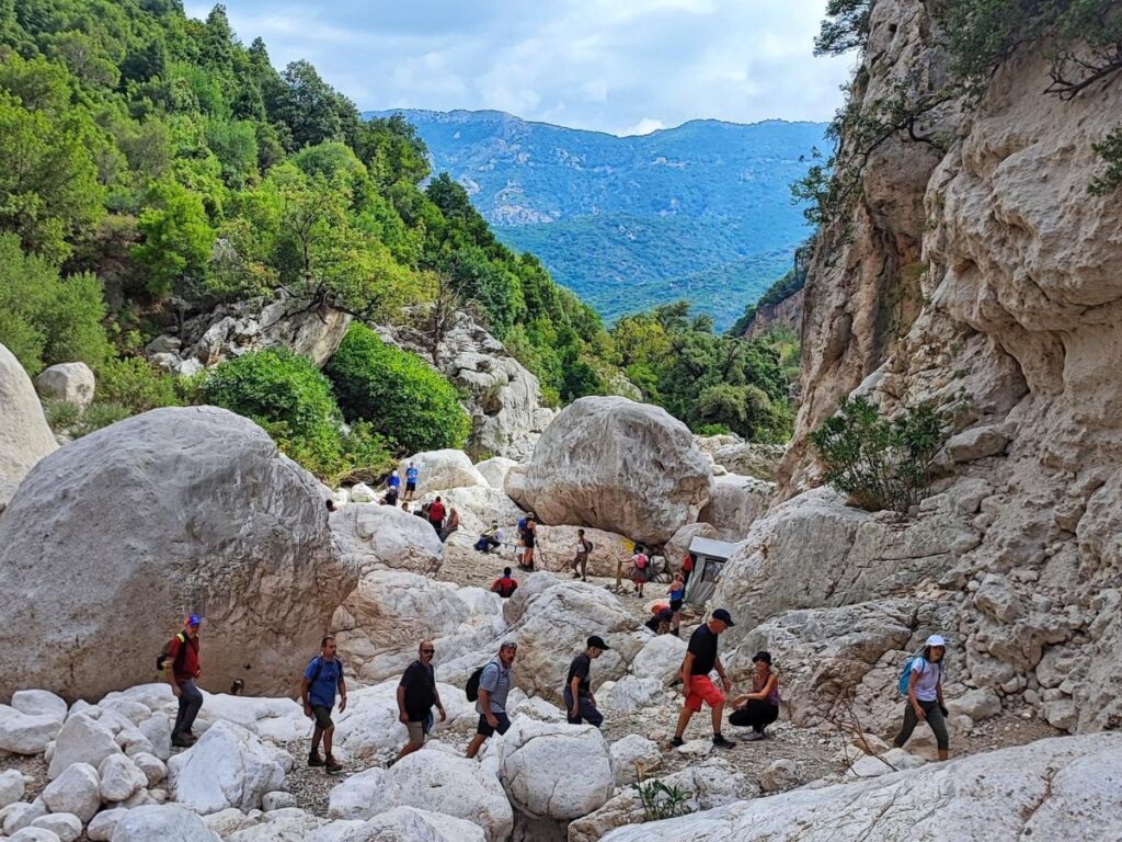 Caminos Sardinia Experience – Caminos Sardinia Experience