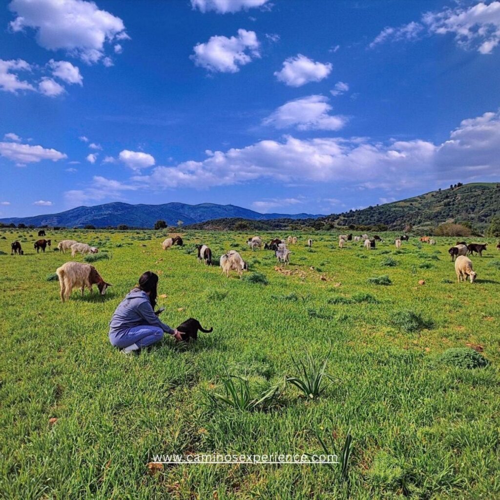 Caminos Sardinia Experience – Caminos Sardinia Experience