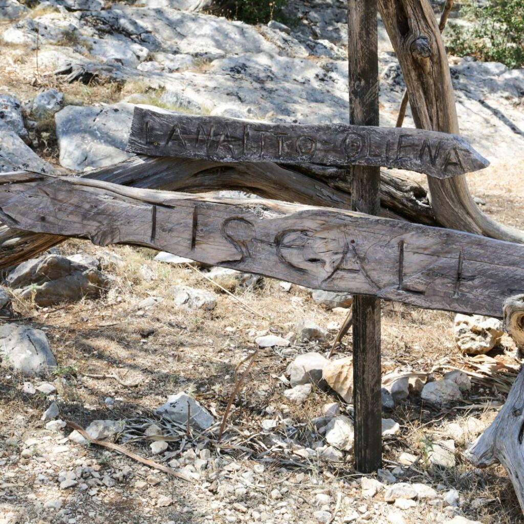 Caminos Sardinia Experience – Caminos Sardinia Experience