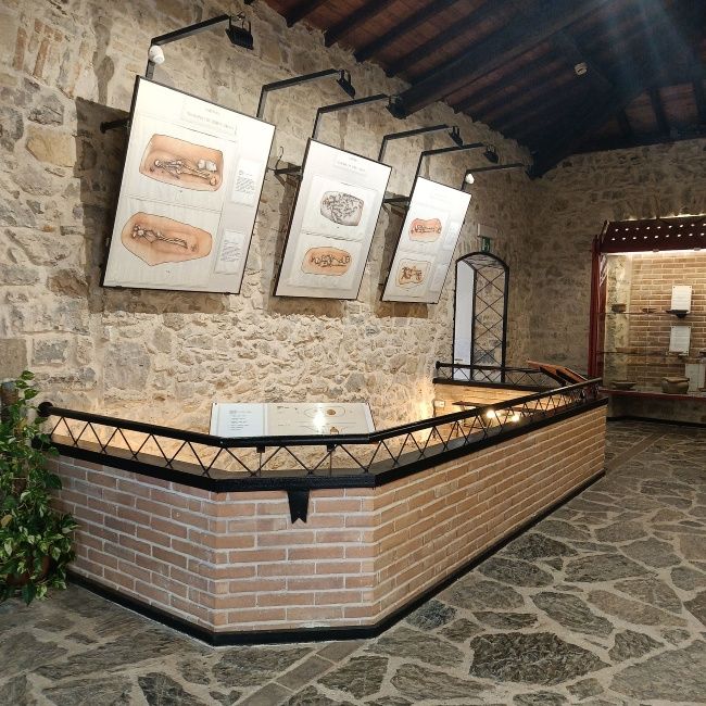 L’area dove sono stati rinvenuti i resti della necropoli romana di Terr ‘e Cresia – L’area dove sono stati rinvenuti i resti della necropoli romana di Terr ‘e Cresia