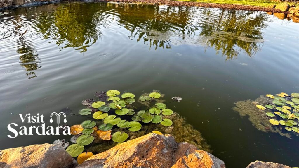 Giardino di Poppi – Giardino di Poppi