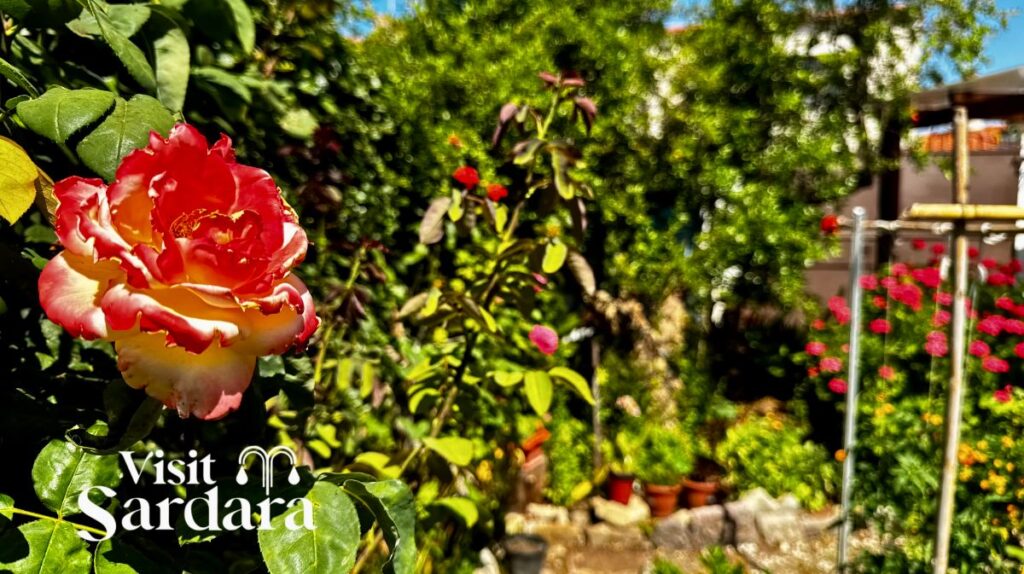 La Casa di Nonna Assunta – La Casa di Nonna Assunta
